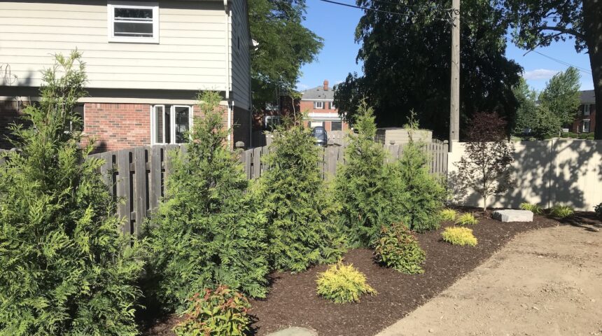 Brownstown Twp, MI Landscape Pricing Guide