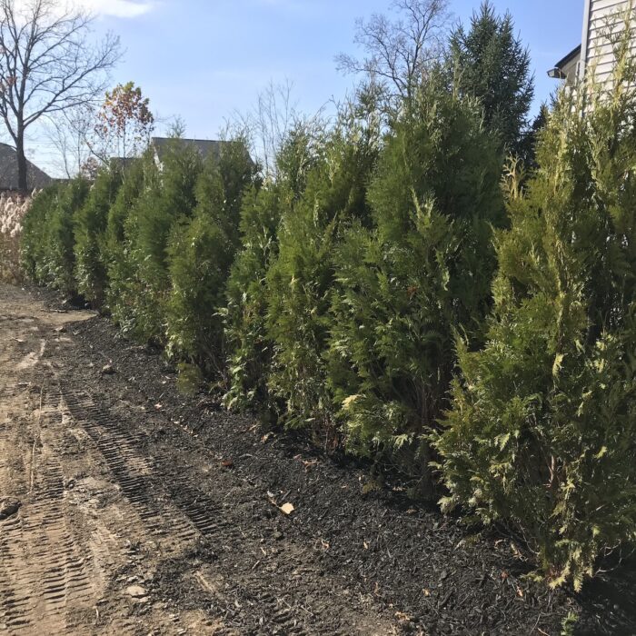 Brownstown Twp, MI Commercial Landscaping Companies