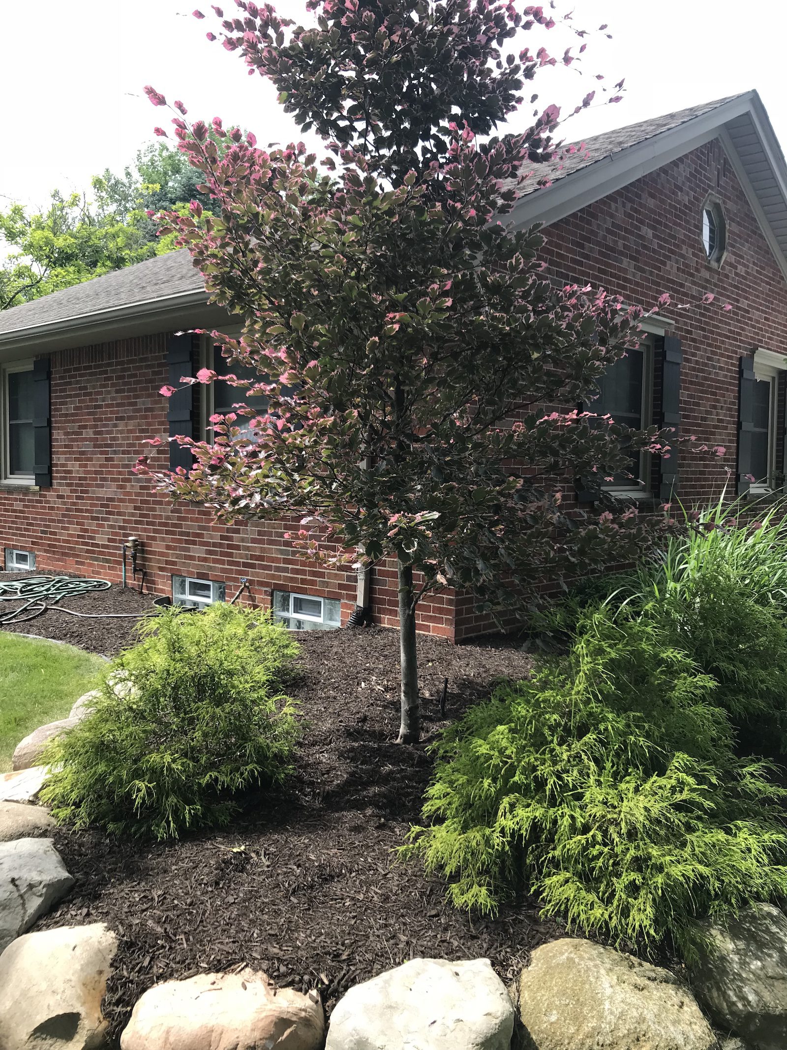 Brownstown Twp, MI Landscaping Company