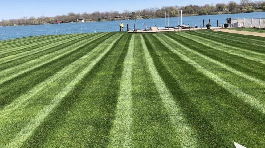 Brownstown Twp, MI Commercial Vegetation Control