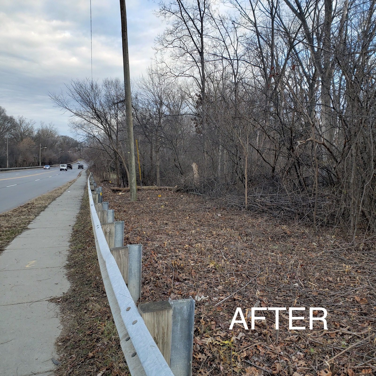 Brownstown Twp, MI Commercial Vegetation Control