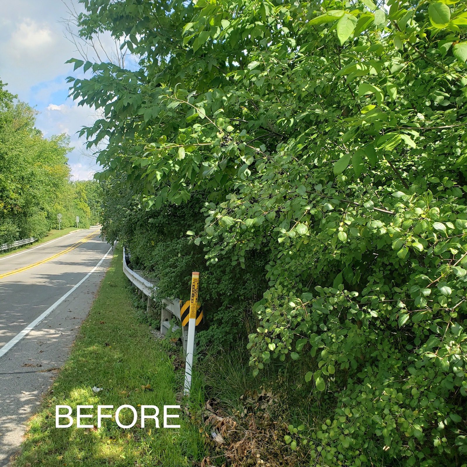 Brownstown Twp, MI Commercial Vegetation Control