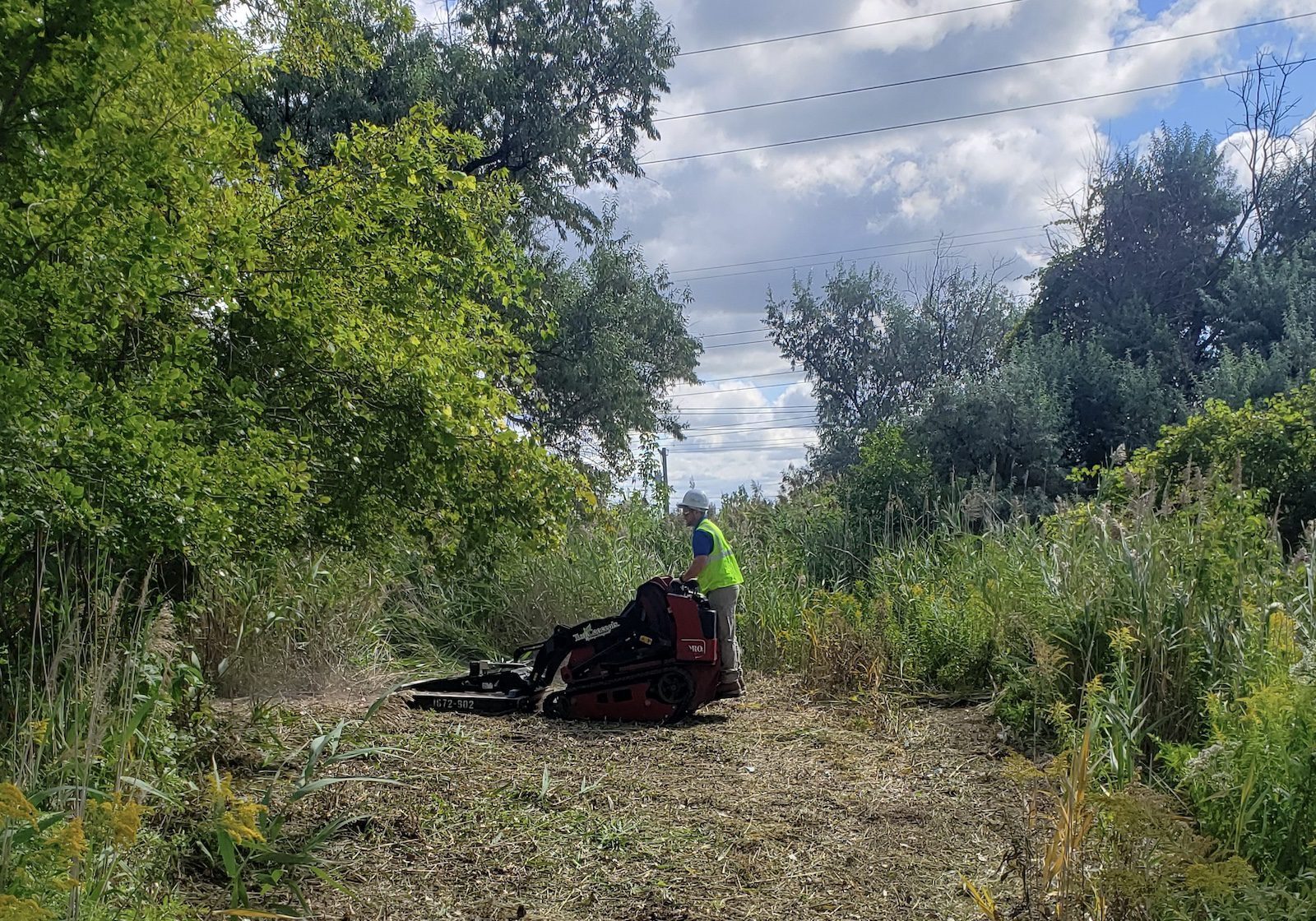 Brownstown Twp, MI Commercial Vegetation Control